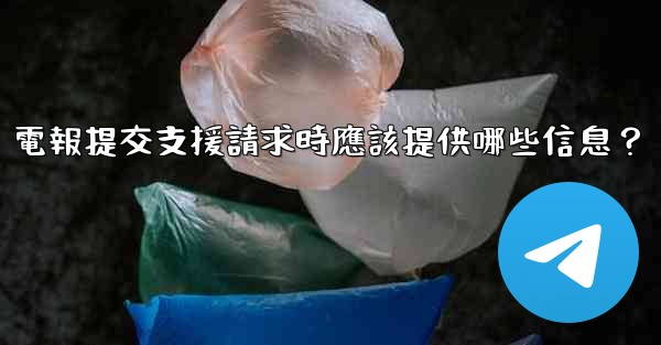 電報提交支援請求時應該提供哪些信息？