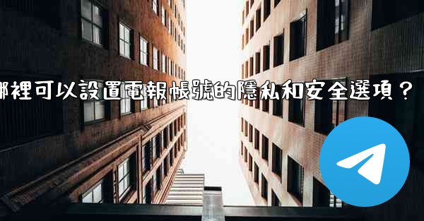 在哪裡可以設置電報帳號的隱私和安全選項？