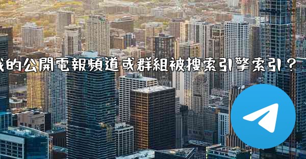 如何防止我的公開電報頻道或群組被搜索引擎索引？