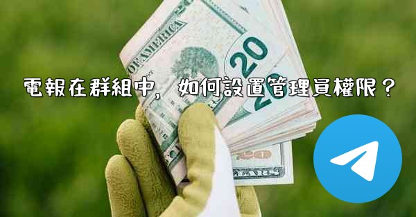 <b>電報在群組中，如何設置管理員權限？</b>