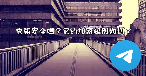 電報安全嗎？它的加密級別如何？