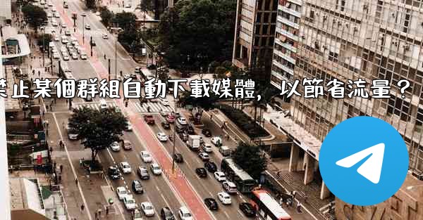 電報如何禁止某個群組自動下載媒體，以節省流量？