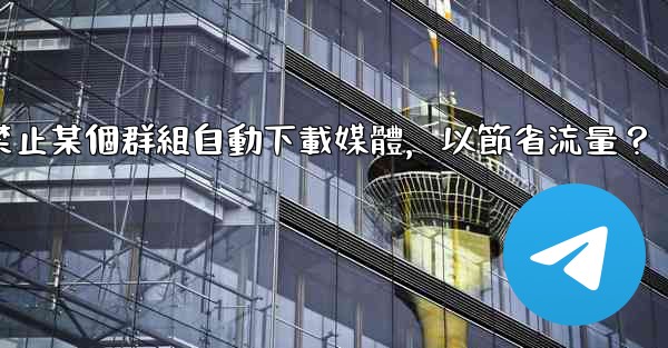 電報如何禁止某個群組自動下載媒體，以節省流量？