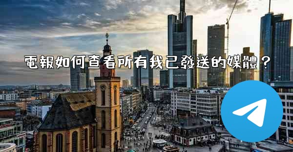 電報如何查看所有我已發送的媒體？