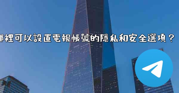 在哪裡可以設置電報帳號的隱私和安全選項？