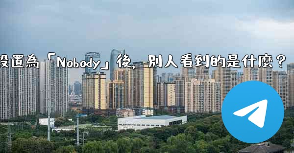 Telegram設置為「Nobody」後，別人看到的是什麼？