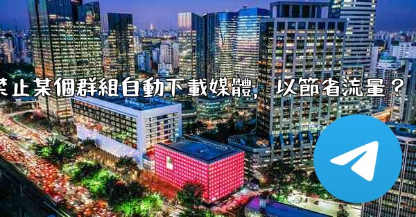 Telegram如何禁止某個群組自動下載媒體，以節省流量？