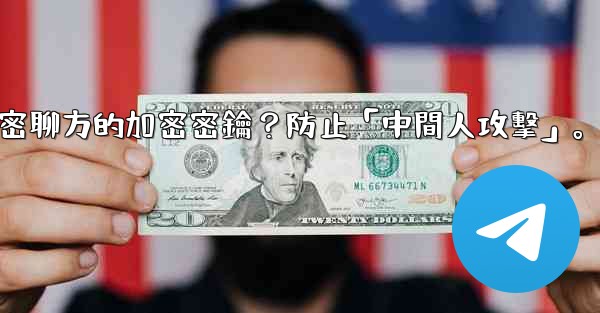 Telegram如何驗證秘密聊方的加密密鑰？防止「中間人攻擊」。